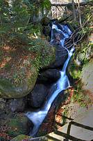 Impressionen aus der Ysperklamm - HDR-Foto DSC04105.jpg © Gerhard Obermayr